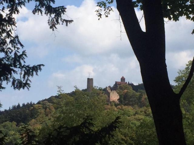 Ferienwohnung Burgenblilck Weinheim Exteriör bild