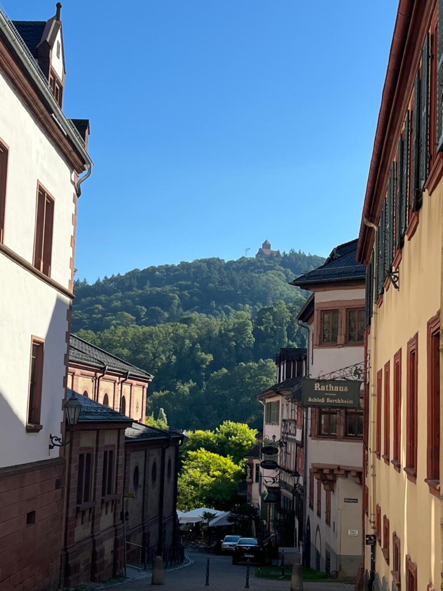 Ferienwohnung Burgenblilck Weinheim Exteriör bild