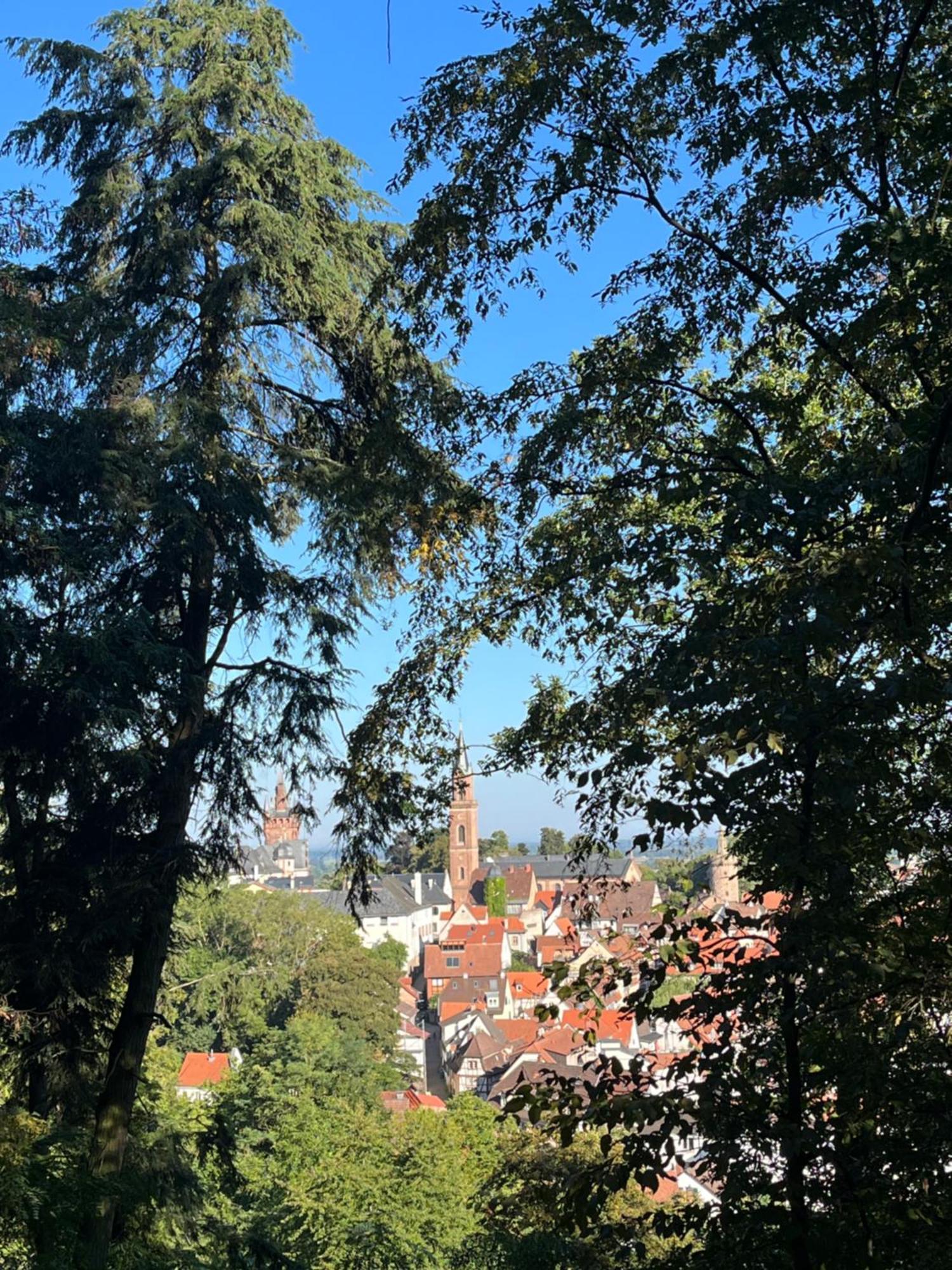 Ferienwohnung Burgenblilck Weinheim Exteriör bild